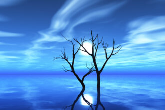 bluewillow ai