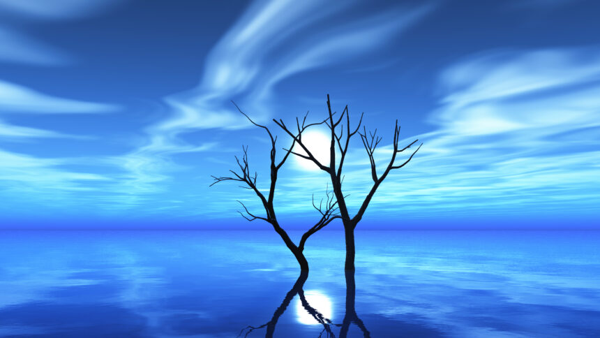 bluewillow ai